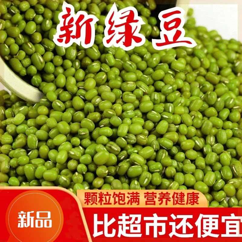 精选新货绿豆新鲜农家解暑绿豆汤粥糕原料绿豆芽专用杂粮小粒绿豆
