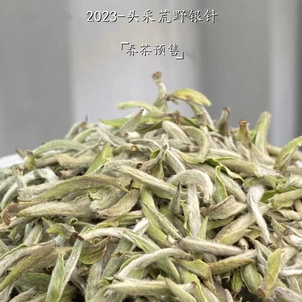 【冰淇淋银针|2023荒针】浓郁的毫香奶香冰淇淋感带蜜香年份陈韵足