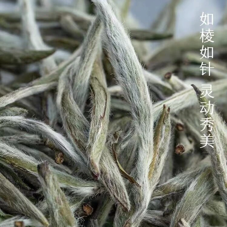 【拍50g送50g|24年白毫银针】福建高山芽 毫香馥郁，花香浓甜