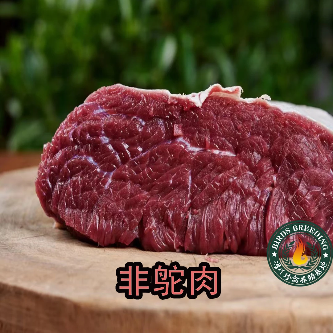 广东省内专属   冯氏珍禽驼鸟肉半斤装（偏远地区不包邮）