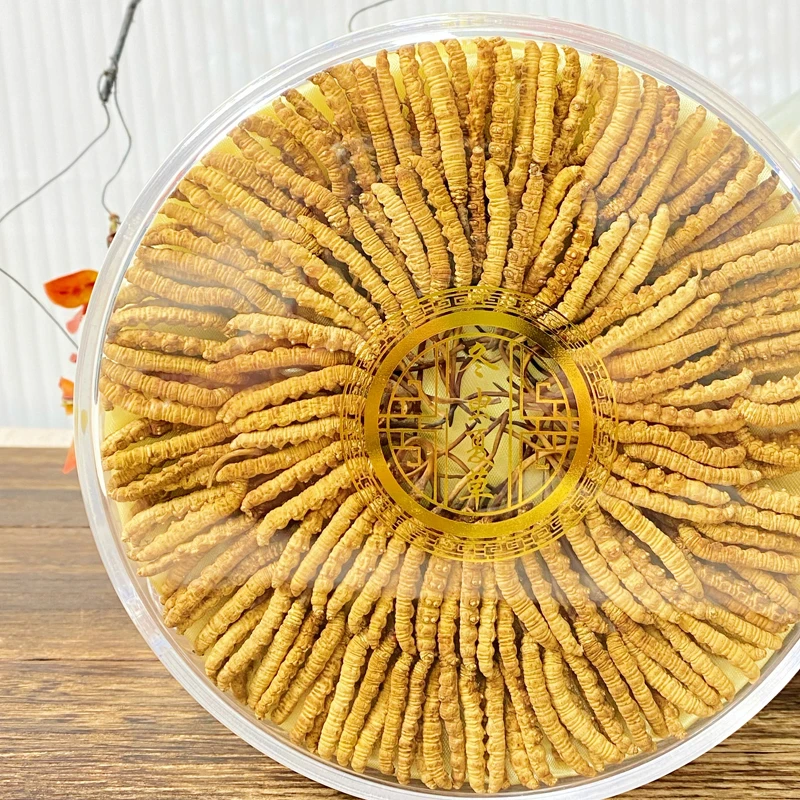 【拉姆专属】2根/克300根 2024头茬干冬虫夏草中秋甄选滋补礼品