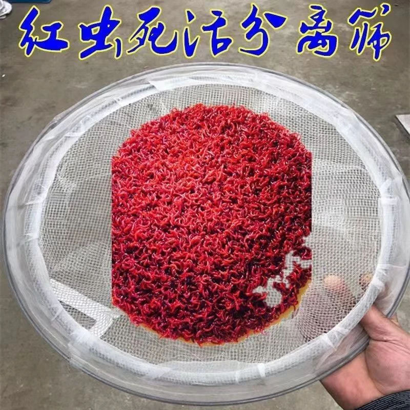 红虫筛活死虫过滤网活虫网布分隔分离工具渔具钓鱼垂钓用品发完