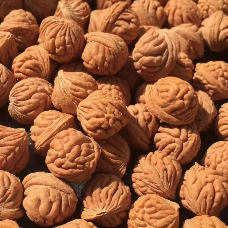 龙纹桃核疙瘩龙皮质好骨质硬上手 光珠手串佳品散籽无孔