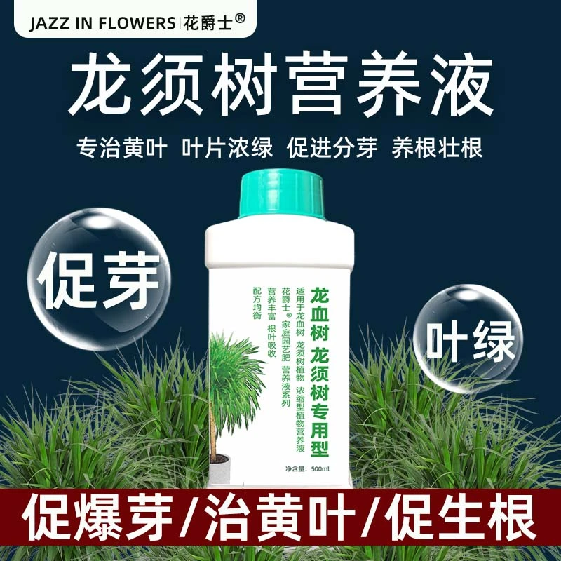 龙须树植物营养液龙血树肥料专用肥室内专用水培龙须铁叶子发黄