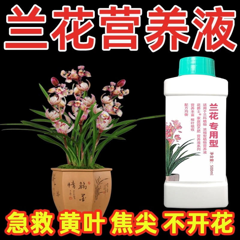 兰花专用营养液开花肥料专用肥墨兰企黑建兰黄叶烂根黑斑枯叶专用