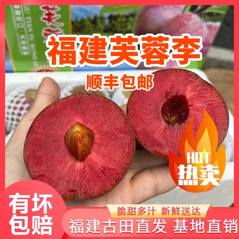 福建古田芙蓉李红心李子当季水果薛后高山芙蓉李5斤装
