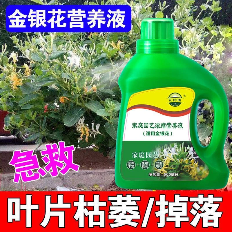 【送喷壶】金银花适用营养液预防黄叶家庭绿植盆栽生根促花液体肥