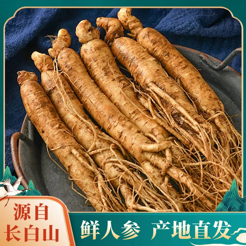 长白山【福利款】鲜人参30根起5年人参小根 小条福利款