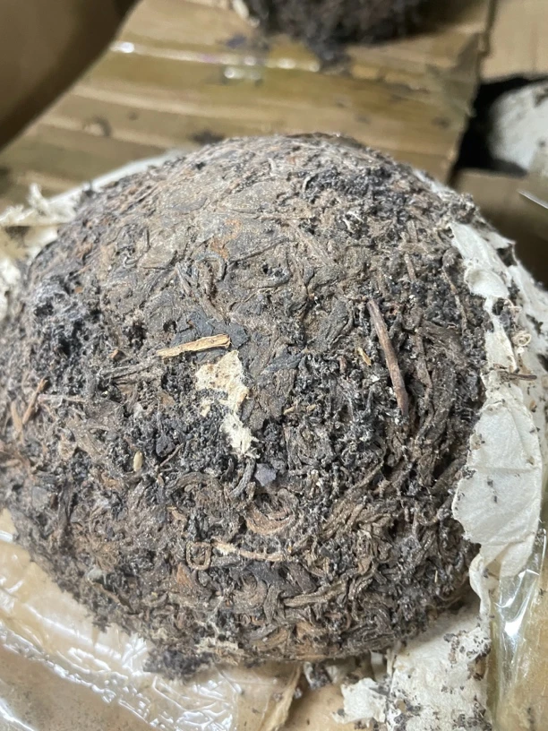 1963年虫宝沱茶普洱生茶500克