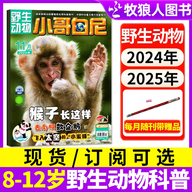 【订阅现货可选】小哥白尼野生动物杂志2024年2025年期刊青少年刊