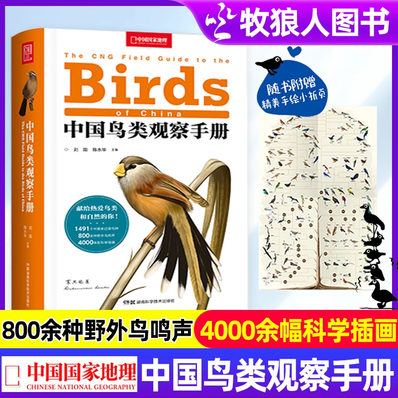 中国鸟类观察手册中国鸟类行为动物科普图鉴珍惜森林草原野鸟形态