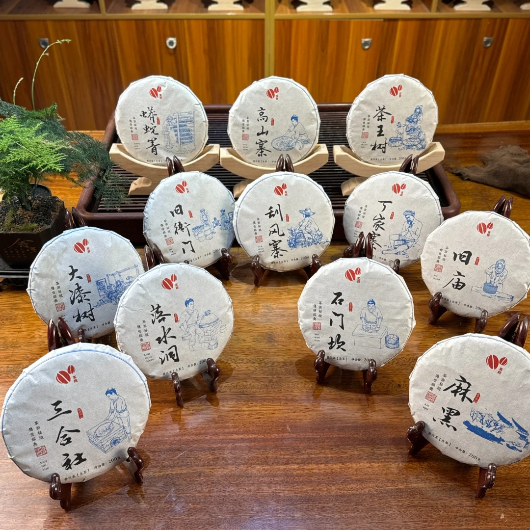 麻黑 2021春 普洱生茶 200g饼茶