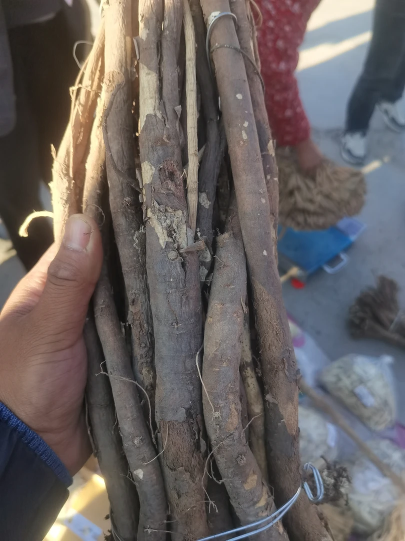 佰珍沐源精选【山货】鲜红芪