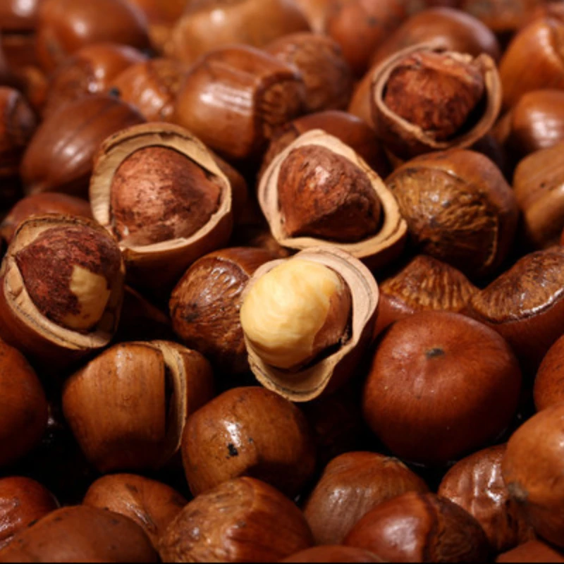 东北特产特大榛子优质食用清香大果