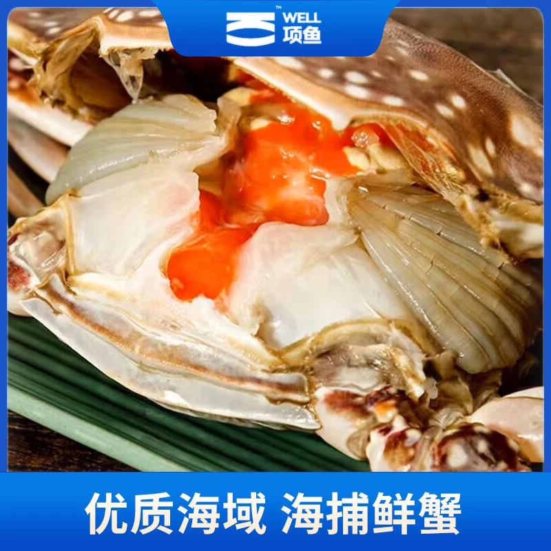 舟山红膏呛蟹 5两左右/只 精选红膏（生吃 不可蒸煮）