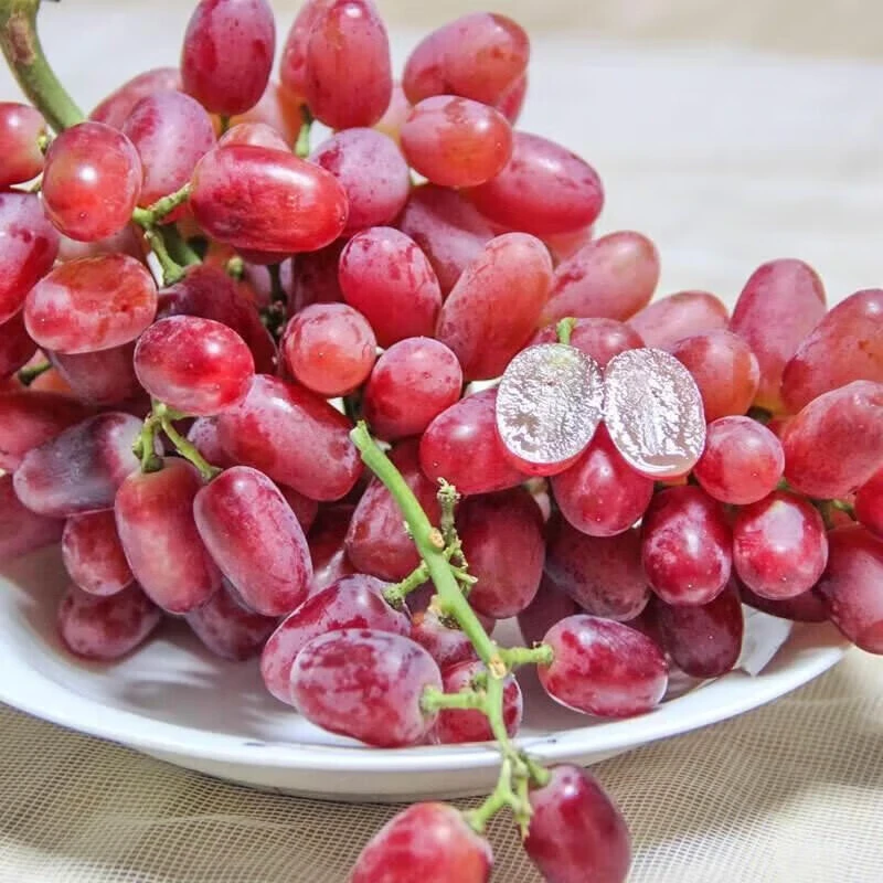 克伦生无籽红提500g  脆爽甜美 坏果一颗包赔 一小时送到家