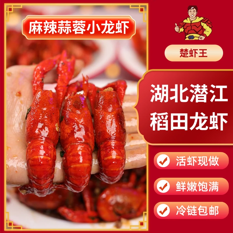 【湖北特产】潜江龙虾蒜蓉麻辣龙虾加热即食3-5钱