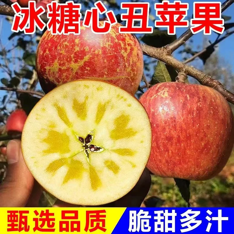 【脆甜多汁】四川大凉山盐源丑苹果冰糖心新鲜 保糖心优质产地包邮