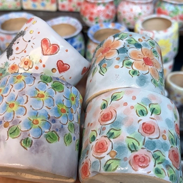 红陶20CM（含）-50CM（不含）西****鱼