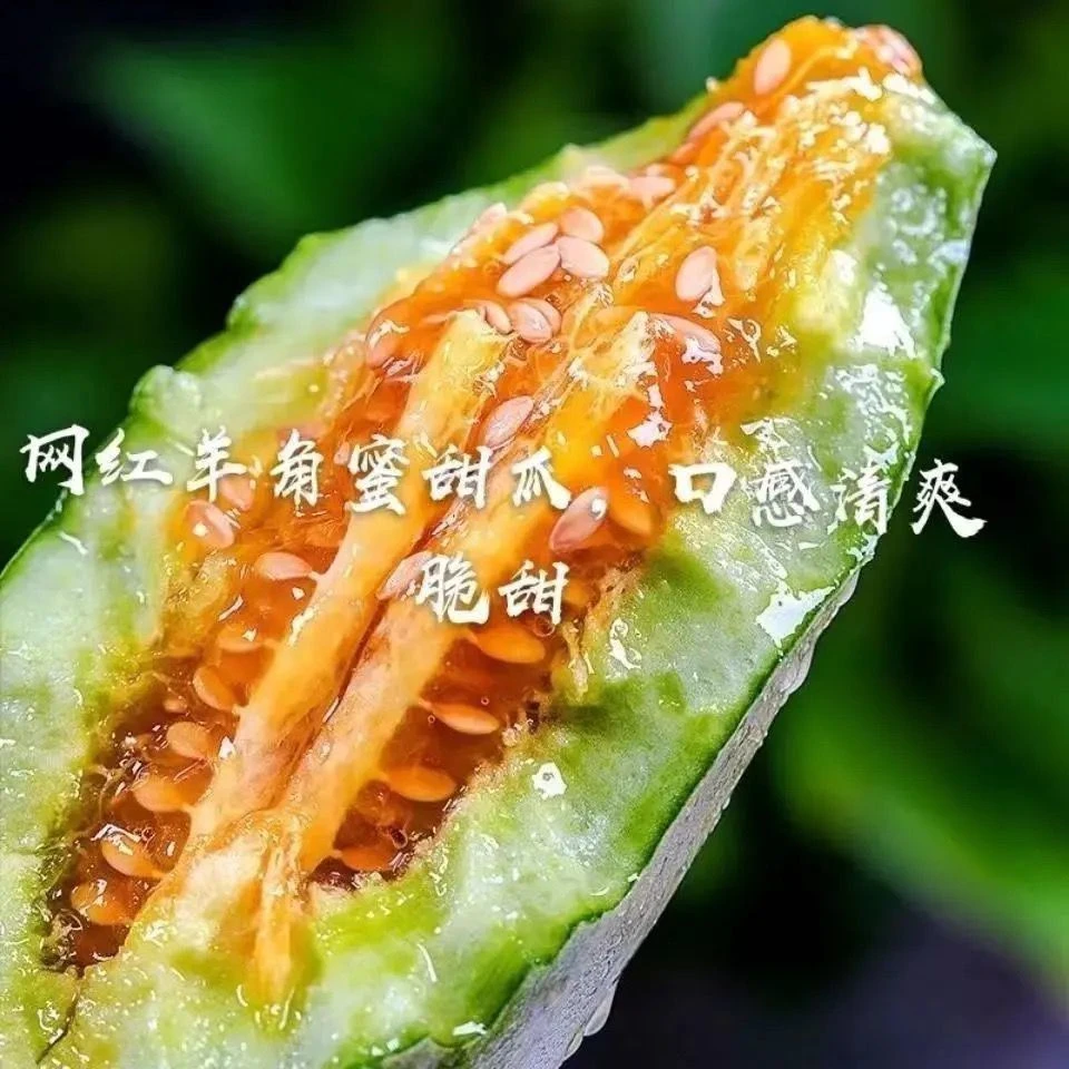 羊角蜜甜瓜种子羊角脆酥四季香瓜甜蔬菜水果种子