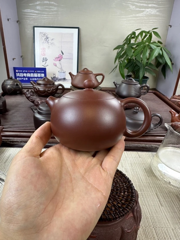 龙血砂西施 200cc 网孔