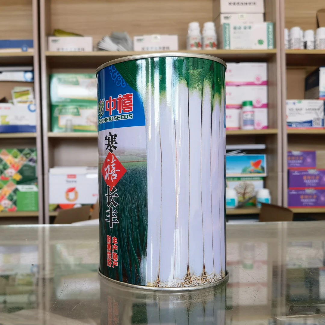 寒喜长丰小香葱大葱四季宜种丰产稳产批发基地专用种子