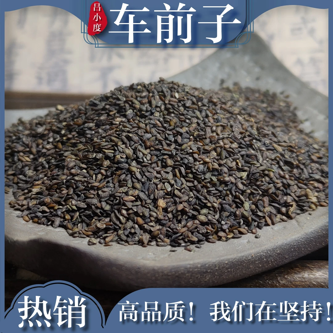 吕小度车前子中药材茶包新鲜干货250克非野生车前草籽车前子籽