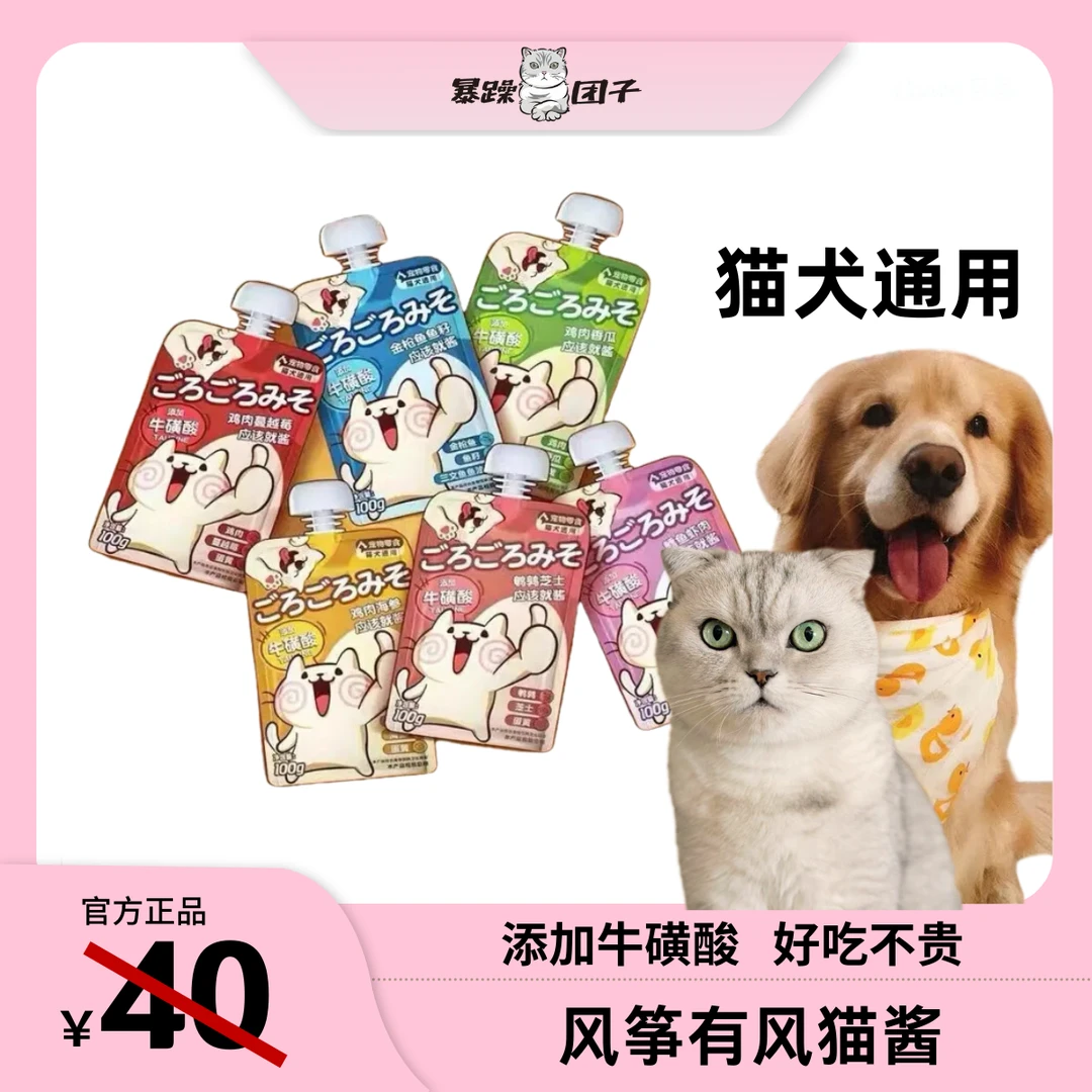 【团子家族自用】风筝有风猫酱 肉泥 猫条 营养 猫零食 100g
