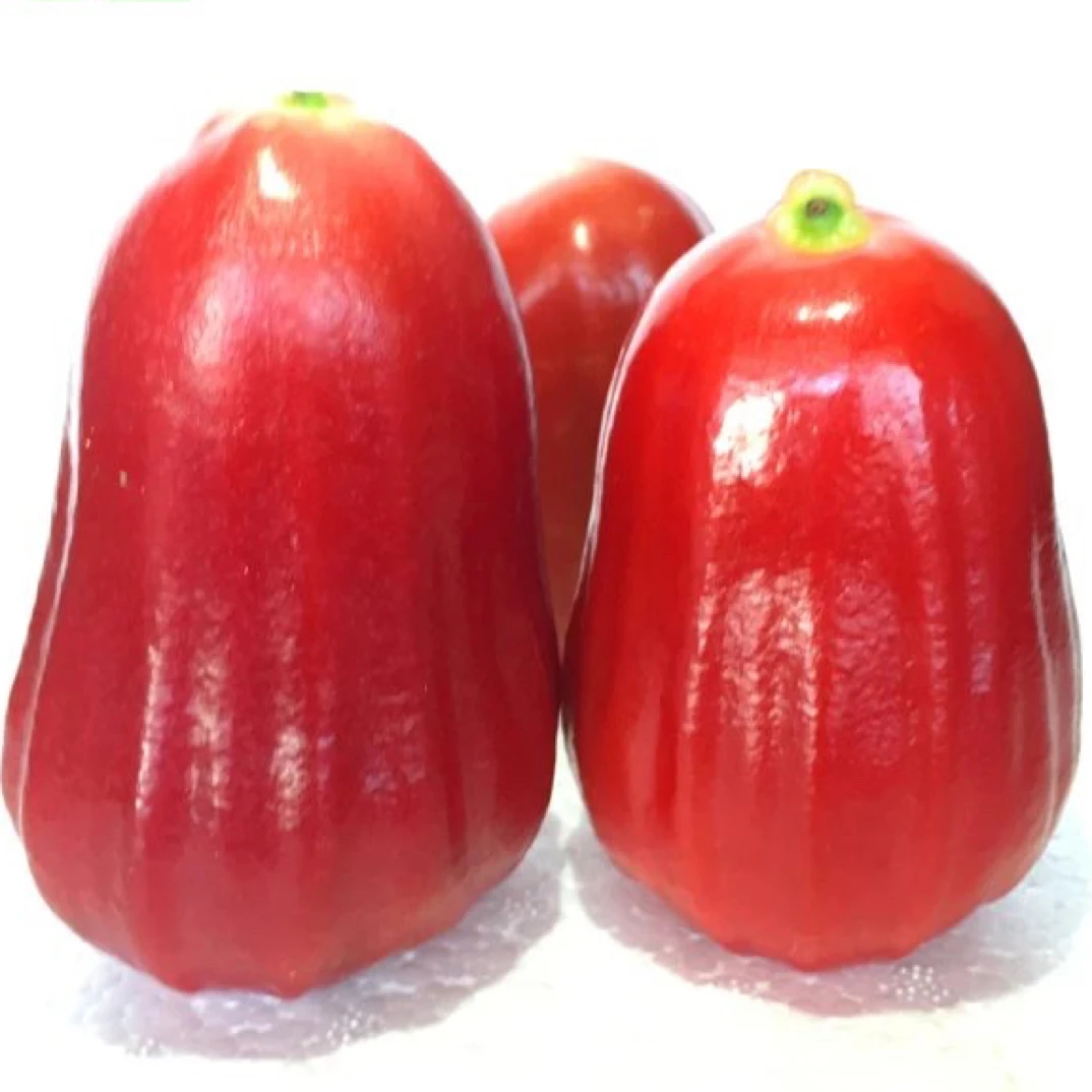 空运包邮 现摘海南黑金刚莲雾大果3-5斤脆甜多汁