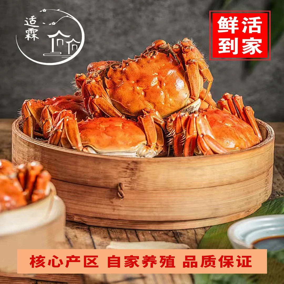【送两只】3.2-3两公蟹 精品江苏大闸蟹 顺丰到家 8只-10只