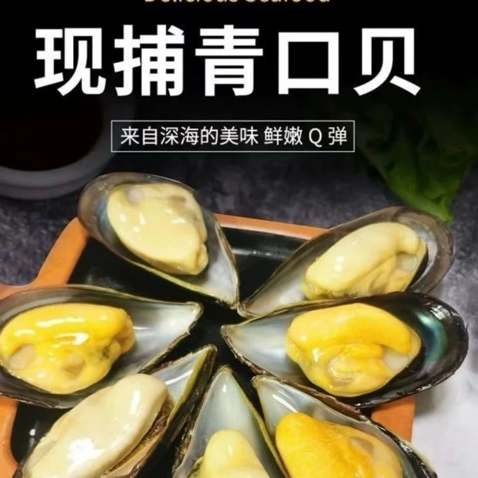 0当季肥海虹贻贝青口贝4斤