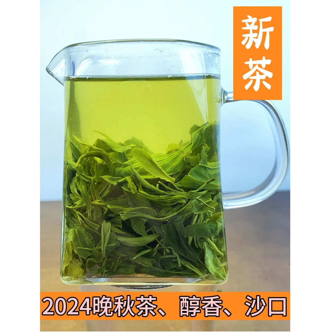 【豆香一细】日照绿茶晚秋茶香醇厚沙口耐泡口感绵软汤顺滑