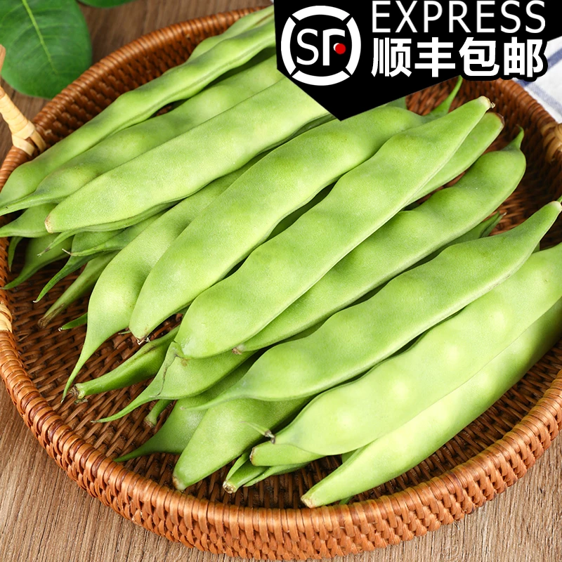东北特产九月青豆角油豆角新鲜豆角现摘现发开锅烂农家种植3斤5斤