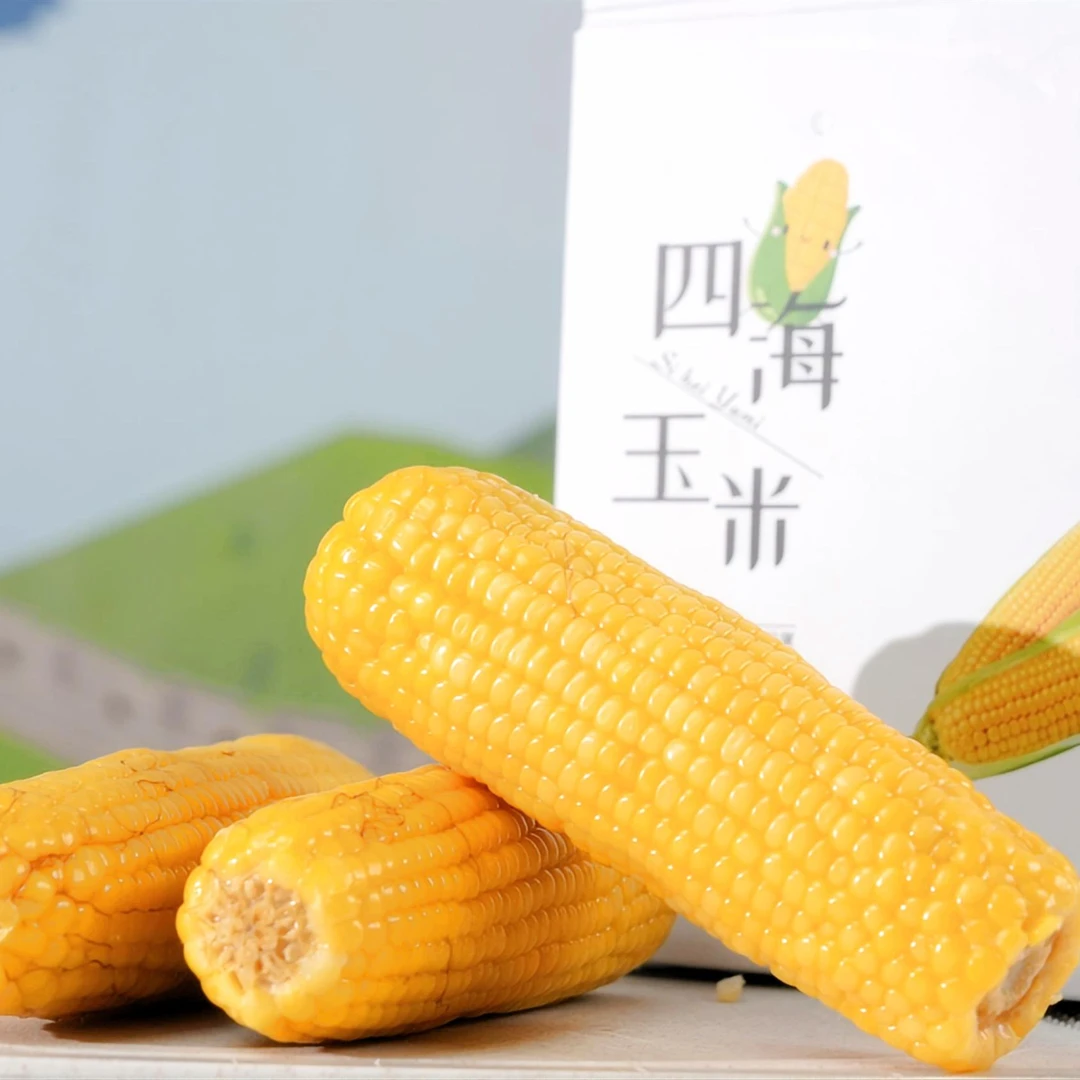 四季花海沟域2024年北京市延庆区四海镇四季花海黄香玉米净重5斤