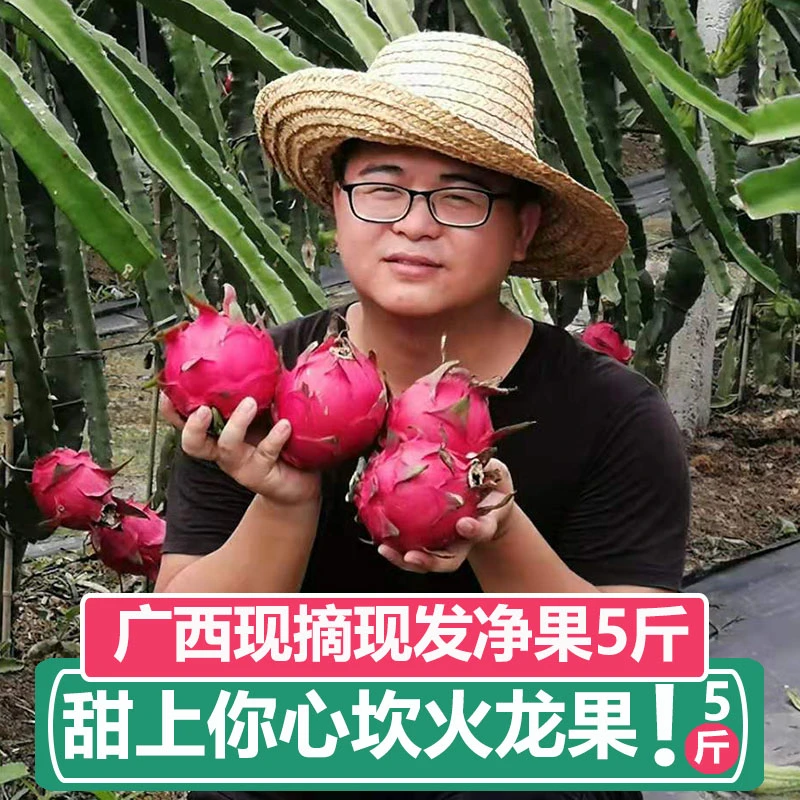 金都一号红心火龙果广西新鲜水果摘皮薄多汁纯甜5-8斤果王装送礼