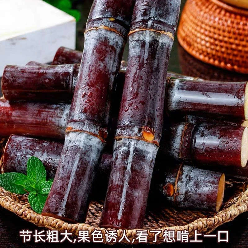 广西黑皮甘蔗现摘现砍现发皮薄多汁水分多口感甘甜