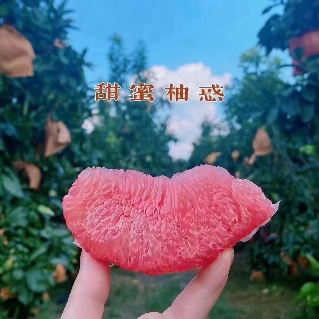 福建正宗平和琯溪蜜柚红心柚子孕妇当季新鲜水果非三红现摘园产地