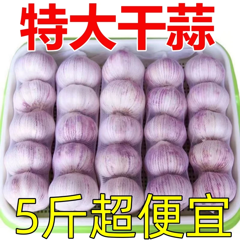 【特大干蒜】山东正宗紫皮干大蒜5斤整箱新晒干蒜多瓣蒜大蒜头100