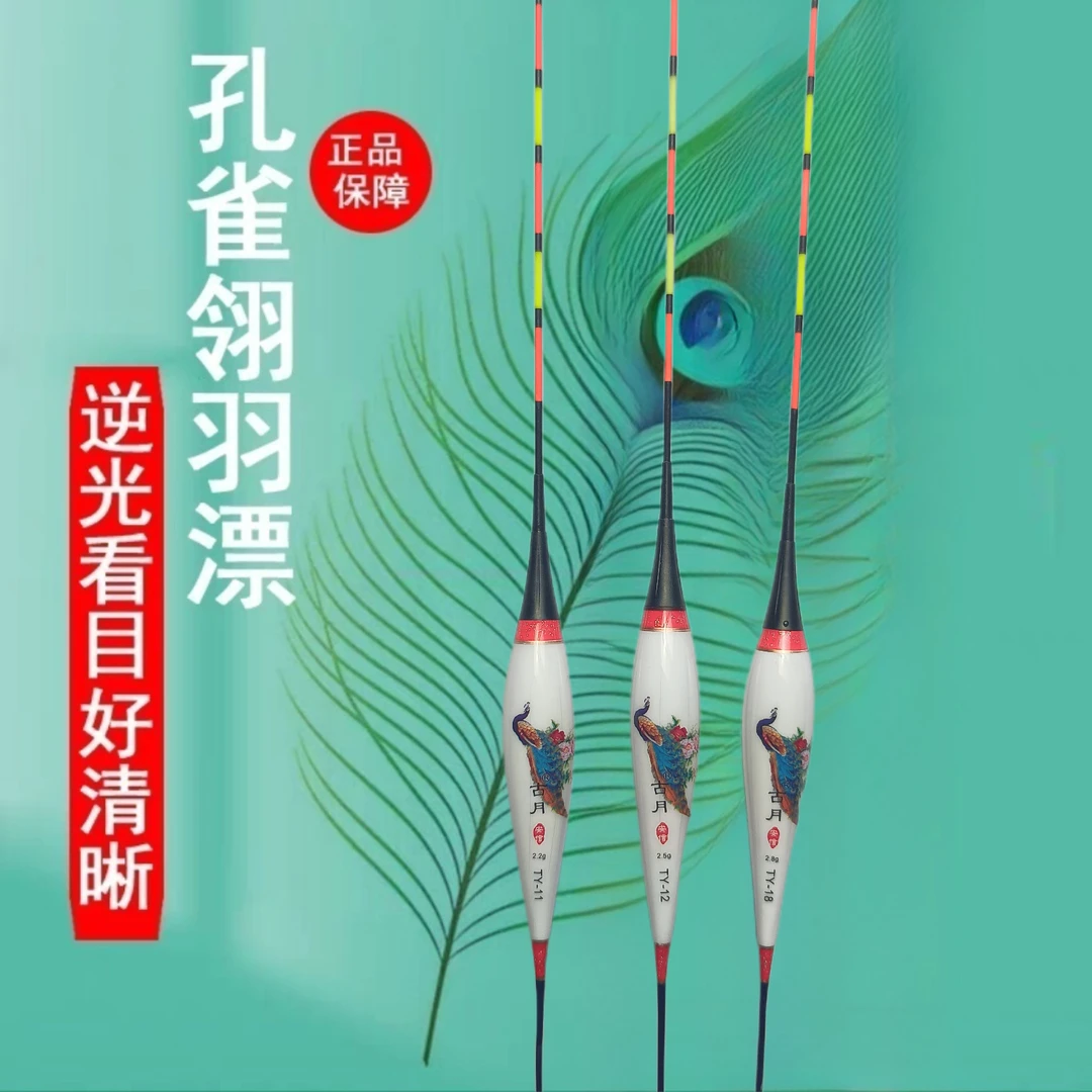 （一心专属）古月带壳孔雀羽毛清晰电子浮漂灵敏度