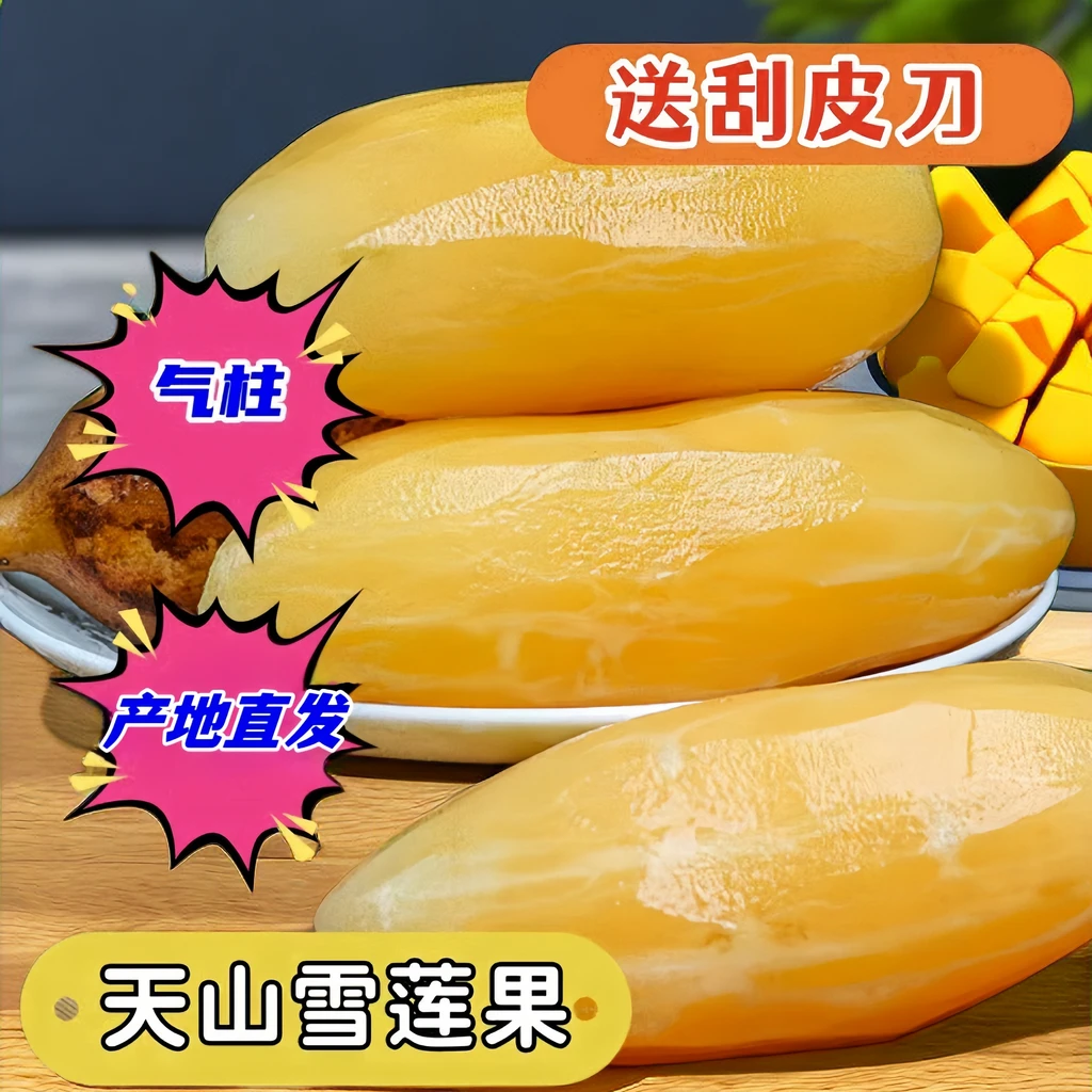 云南天山雪莲果正宗产地直发黄心爽脆清甜营养多汁低糖应季水果