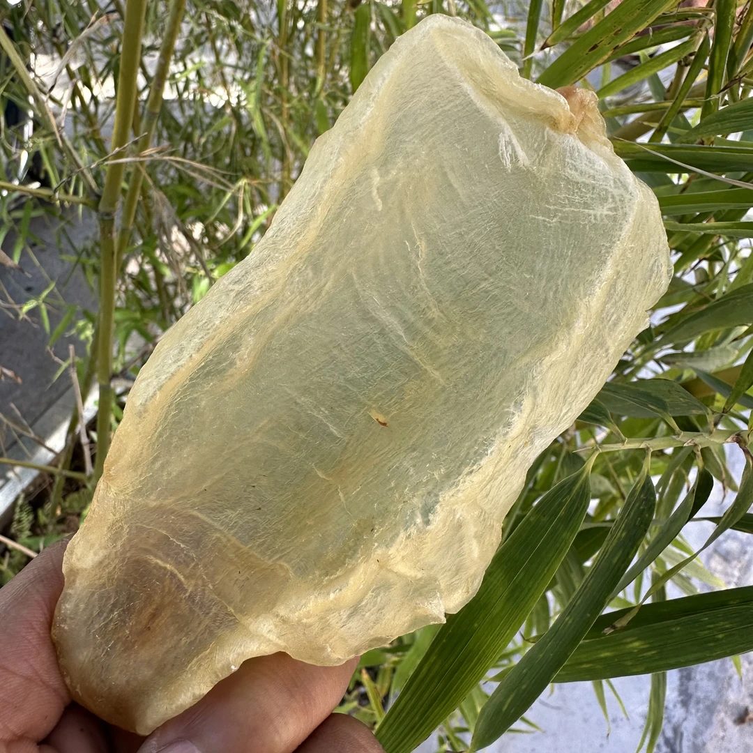 小斗湖鱼胶250g-500g 广东海产干货