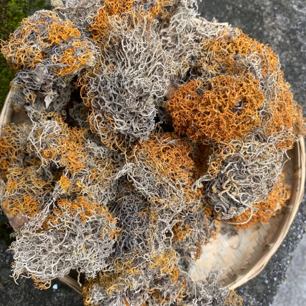 妞妞现收 云南高原农家手工金丝红雪茶泡水冲饮蒸蛋100g/250g-A