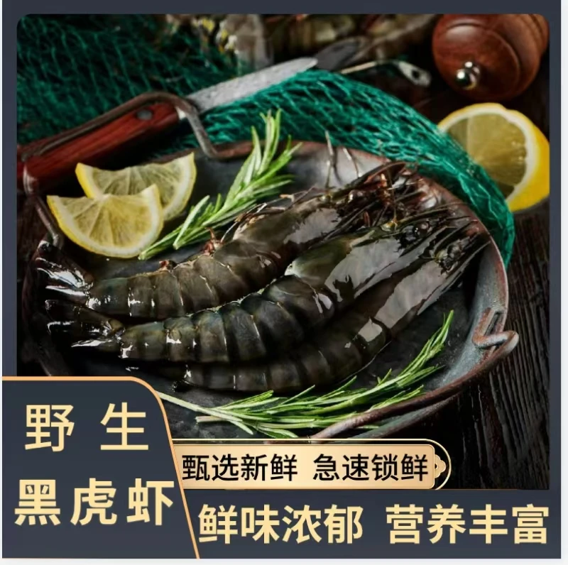 【黑虎虾】福建东山岛 深海黑虎虾 活冻大虾 冷冻锁鲜 新鲜大虾