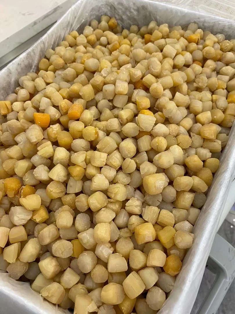 陆丰甲子特产干贝