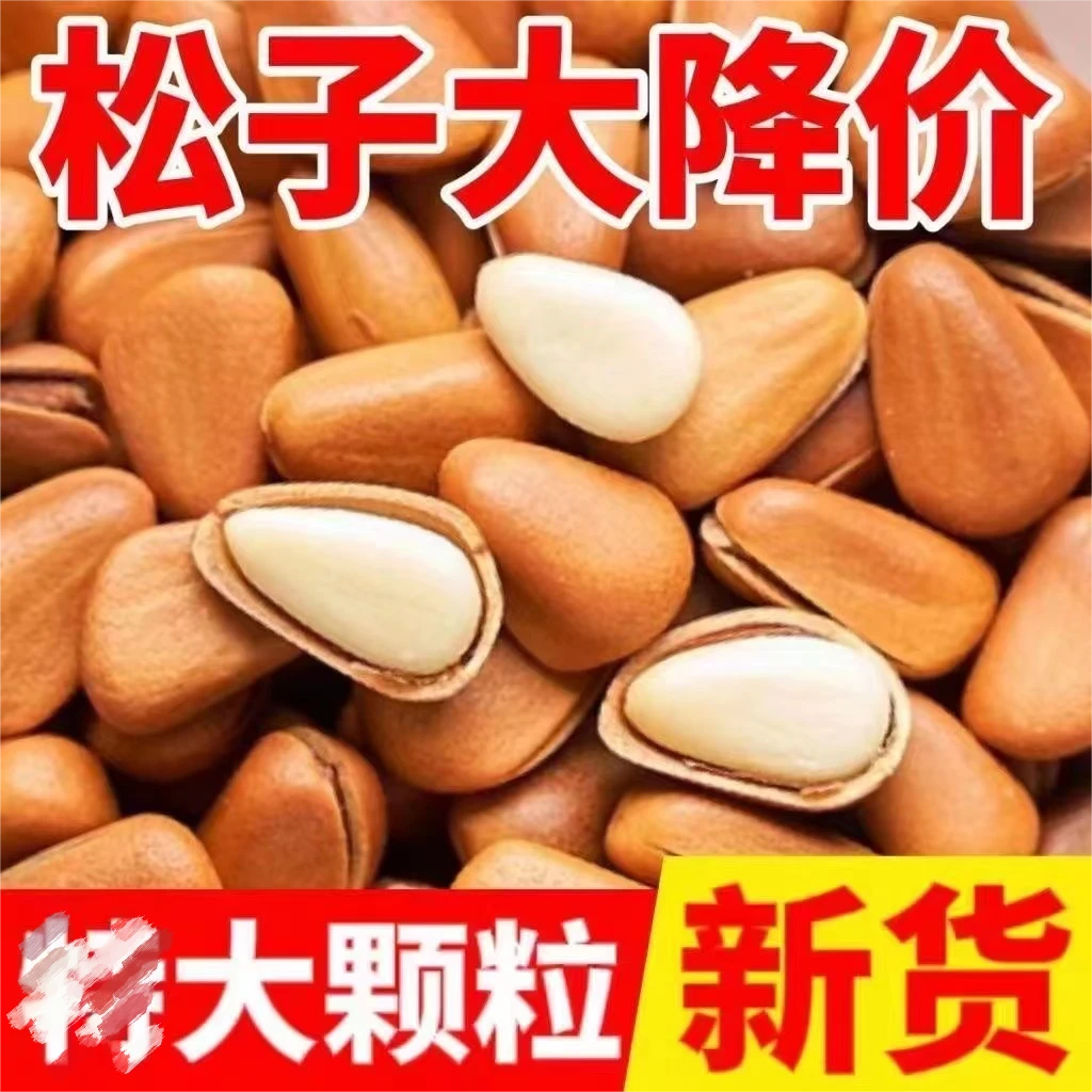 【净重新货】2023东北开口松子大榛子无干燥剂零食坚果年货节