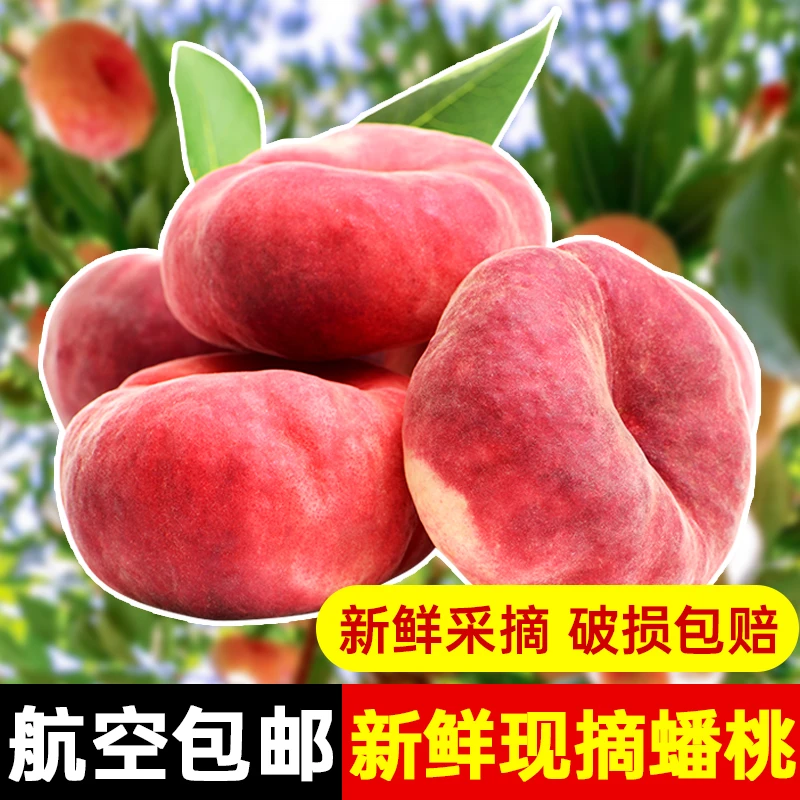 新疆蟠桃新鲜水果当季新鲜白肉桃子毛扁蜜桃多汁水蜜桃整箱包邮