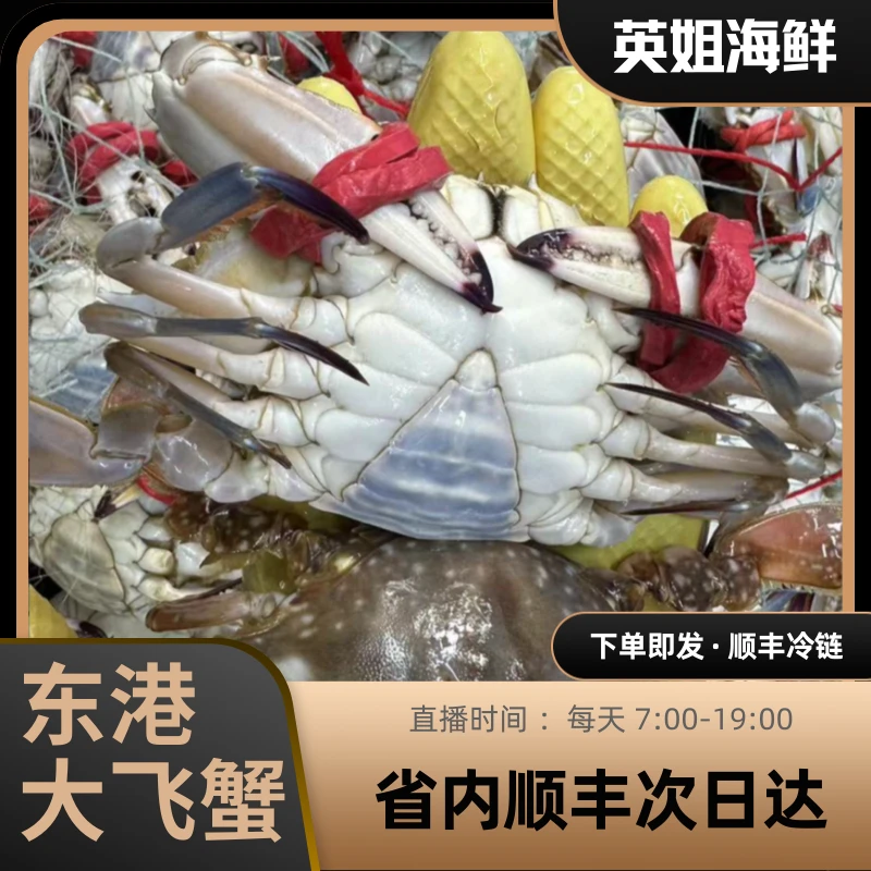 母蟹二斤起（ 仅限沈阳市内 一只三两左右【保鲜不保活】