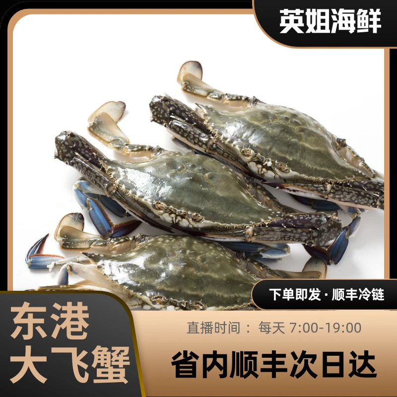 吃肉母个别带黄二斤起仅限东三省主城区拍一只三四两【保鲜不保活】