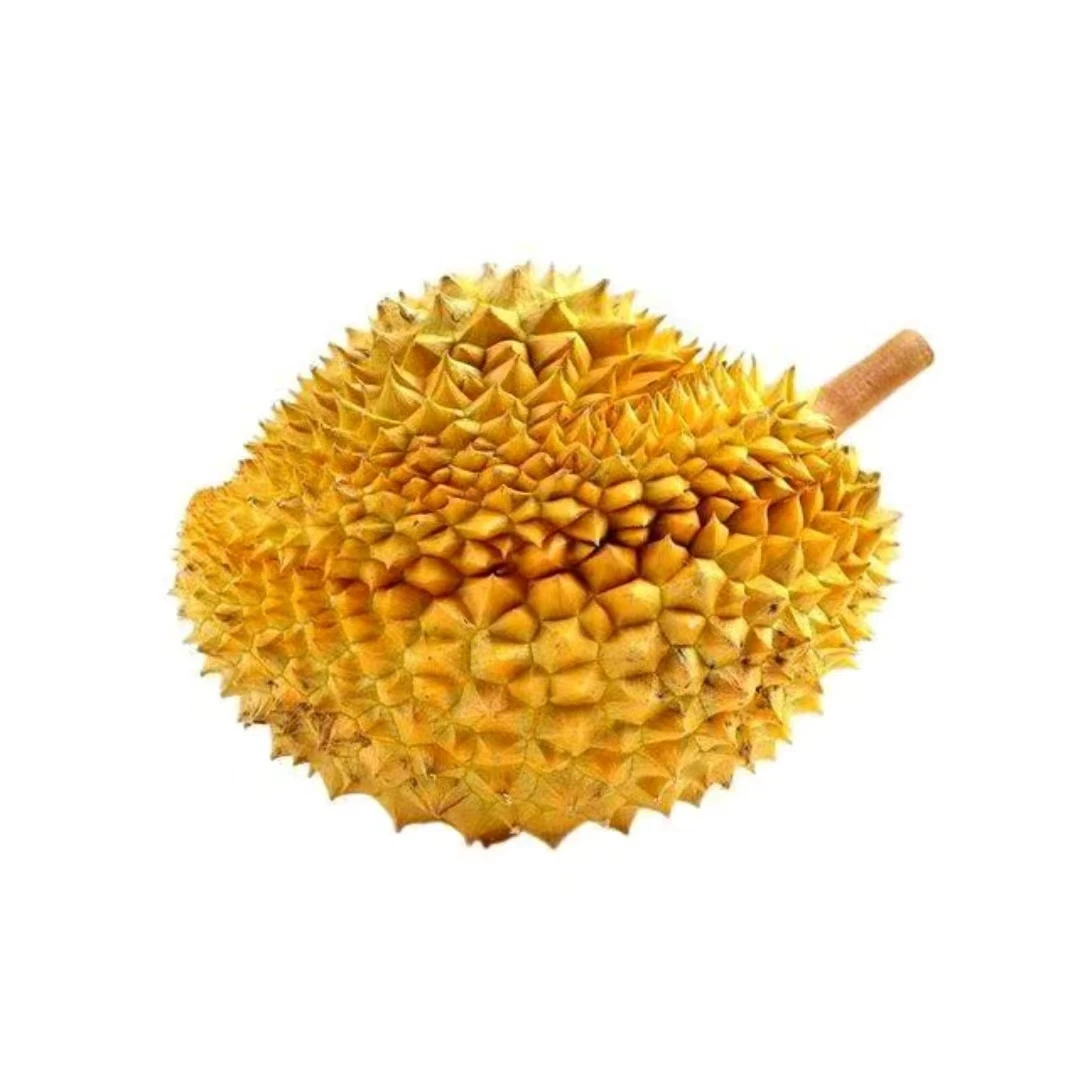 亏品福利果 小果/1个 (特价不售后,介意慎拍)