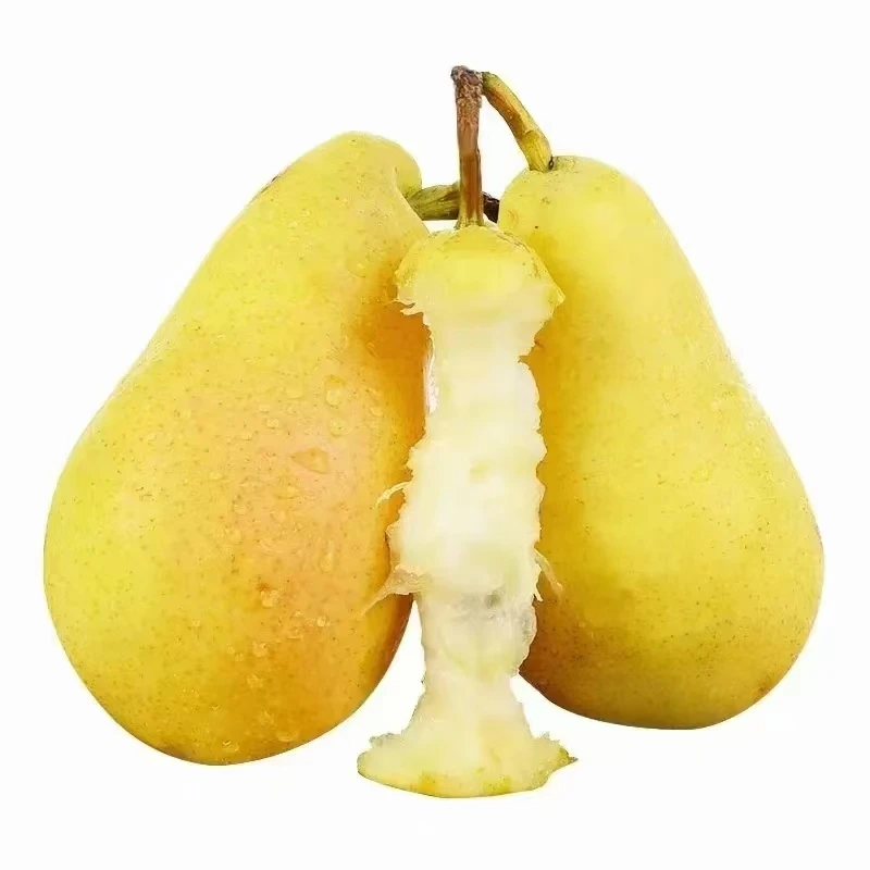 张三甘肃天水香蕉梨杨梨太婆梨巴梨净重5斤9斤包邮口感软糯香甜